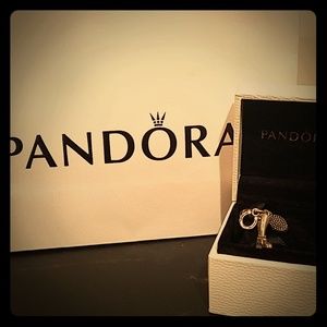 Pandora Equestrian Charm w/Box